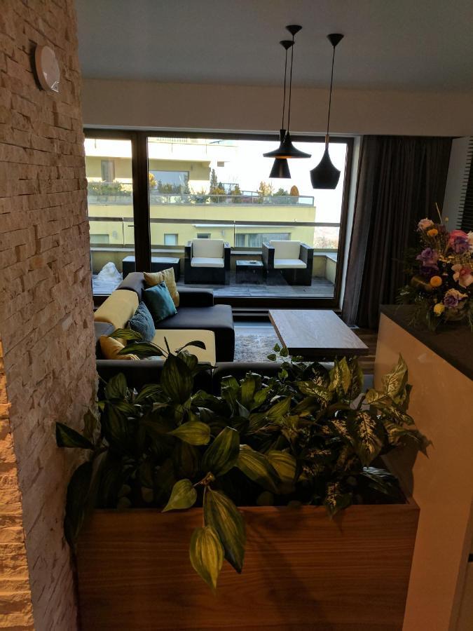 Juniper Apartment Braşov Dış mekan fotoğraf